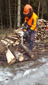 Wir bieten auch Wald- und Holzdienstleistungen an